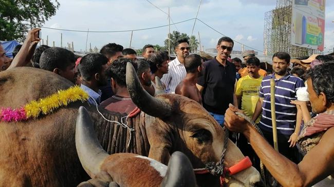 রাজা-বাদশা দেখতে কোরবানীর হাটে শামীম ওসমান