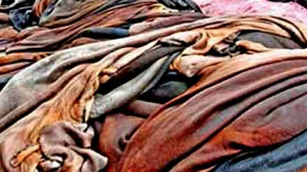 কাঁচা চামড়া রফতানি নিয়ে রশি টানাটানি