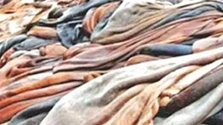 চামড়াশিল্পকে বাঁচাতে চাই সমন্বিত উদ্যোগ