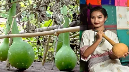 মধুপুরে হারিয়ে যাচ্ছে গারোদের ‘ফং’