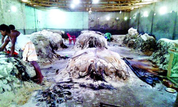 ঢাকার ট্যানারি মালিকদের কাছে বগুড়ার ব্যবসায়ীদের পাওনা ৩৫ কোটি টাকা পুঁজি হারিয়ে অনেকের পেশা পরিবর্তন