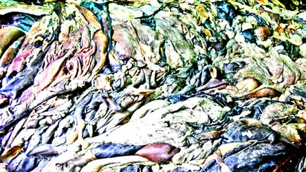চামড়ার দাম নিয়ে তোলপাড়