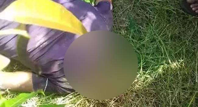 চাঁদপুরে মাদরাসা ছাত্রের মাথাবিহীন লাশ