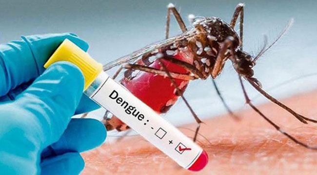 ডেঙ্গু প্রতিরোধ ও আমাদের করণীয়