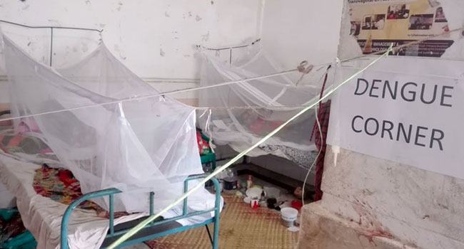 কুমিল্লায় ২৪ ঘণ্টায় ২৫ ডেঙ্গু রোগী ভর্তি