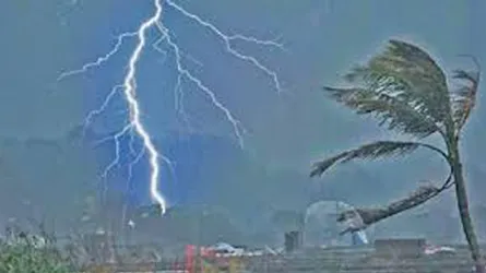 সারিয়াকান্দিতে বজ্রপাতে স্বামী স্ত্রীসহ নিহত ৩, স্কুলছাত্রীসহ আহত ২