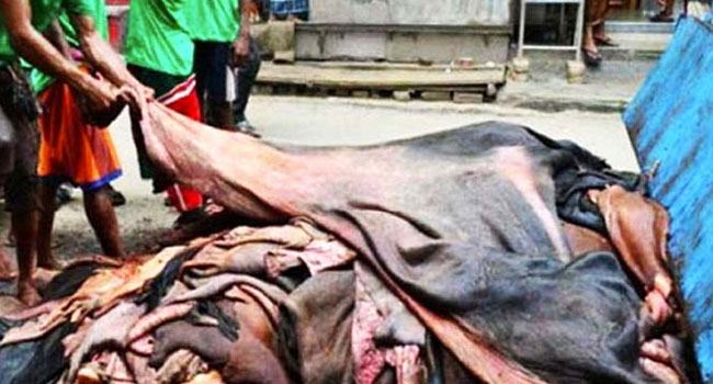 চামড়া শিল্পের দায় কে নেবে?
