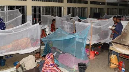ডেঙ্গু রোগী ১৯ ভাগ কমেছে
