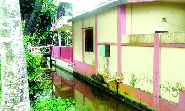 মির্জাগঞ্জে খাল দখল : শত শত একর জমির চাষাবাদ ব্যাহত