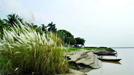 শরতের বিকেল