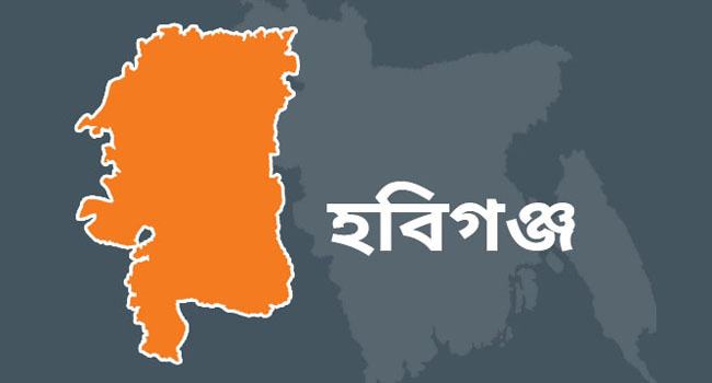 বানিয়াচংয়ে পুকুর থেকে ২ ভাইয়ের লাশ উদ্ধার
