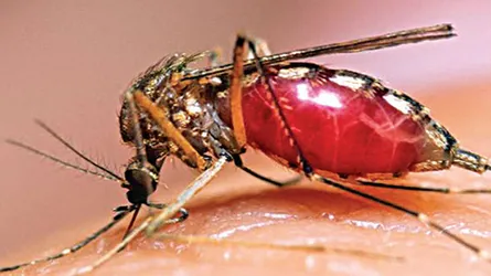 রংপুর মেডিক্যালে ডেঙ্গুতে আরেকজনের মৃত্যু