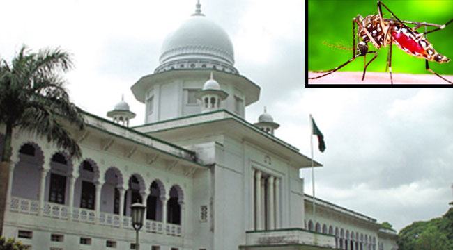 এডিস নিয়ন্ত্রণে আরো কার্যকর পদক্ষেপ নেয়ার নির্দেশ হাইকোর্টের