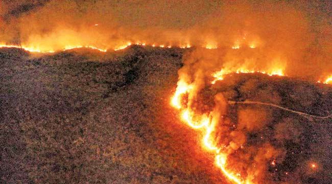 লোভের আগুনে জ্বলছে আমাজন