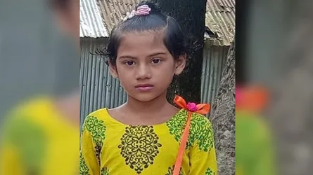 গাজীপুরে প্রজাপতি ধরতে গিয়ে বিদ্যুৎস্পৃষ্টে শিশু, পৃথক ঘটনায় কলেজ ছাত্রের মৃত্যু