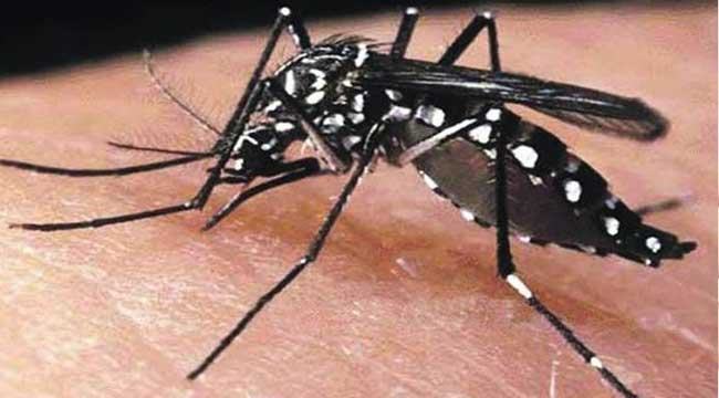 বারবার ডেঙ্গু থেকে সচেতন হোন