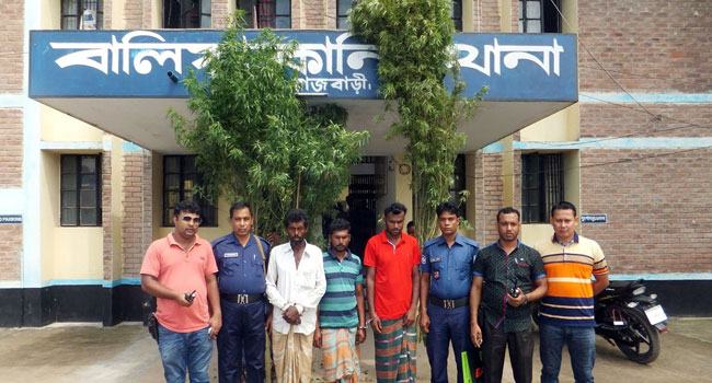বাড়ির উঠানে গাঁজার চাষ, গাছসহ গ্রেফতার ৩