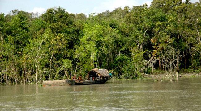সুন্দরবনে অপরাধ কমাতে ড্রোন ব্যবহারের পরিকল্পনা বনবিভাগের
