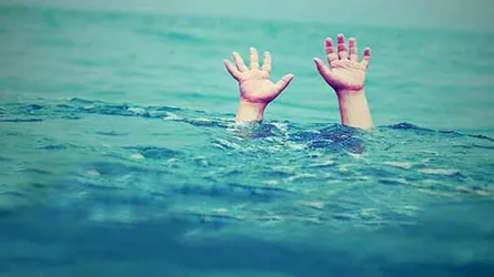 দাদীর পিছে পিছে গিয়ে প্রাণ গেল দুই বোনের