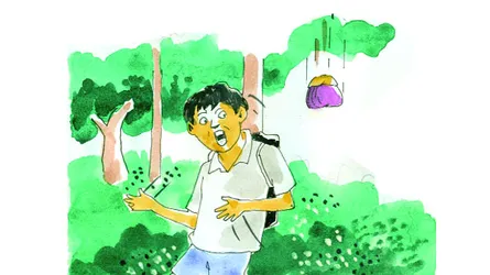 ভূতের রাজা ও শাফিন