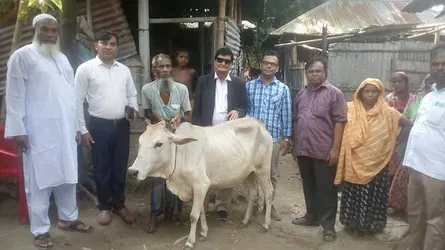 নয়া দিগন্তে সংবাদ প্রকাশের পর গরু পেলেন কিশোরগঞ্জের অতুল উদ্দিন