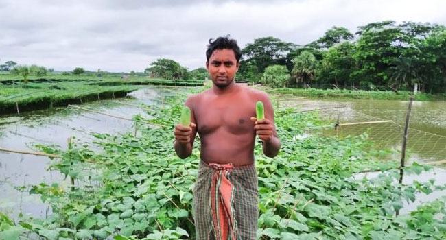 মাছের ঘেরের পাড়ে শসাচাষ পাল্টে দিচ্ছে রূপসাপাড়ের চিত্র