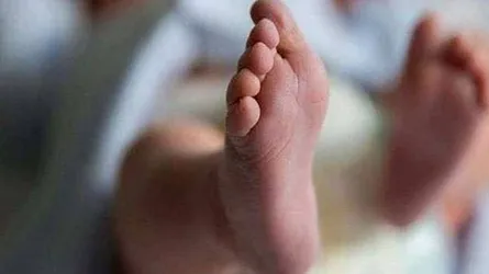 মুক্তিযোদ্ধা কমপ্লেক্সের পাশে নবজাতকের লাশ