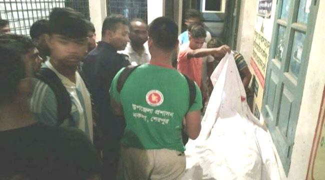 শেরপুরে বাস-অটোরিকশা সংঘর্ষে চালকসহ নিহত ৩