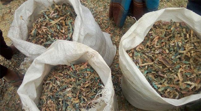 বগুড়ায় বিপুল পরিমাণ ছেড়া টাকা উদ্ধার