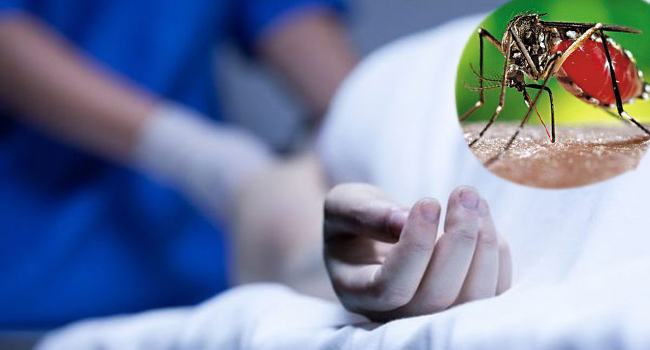 ডেঙ্গু কেড়ে নিলো লাভলীর প্রাণ