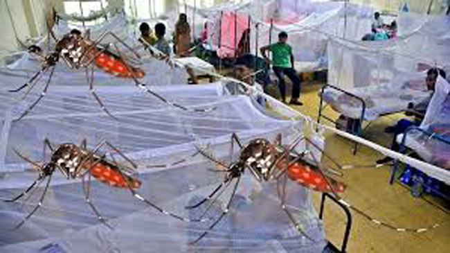 ডেঙ্গু নিয়ন্ত্রণে ক্রয় থেকে নিধন- প্রতি ধাপে দুর্নীতি