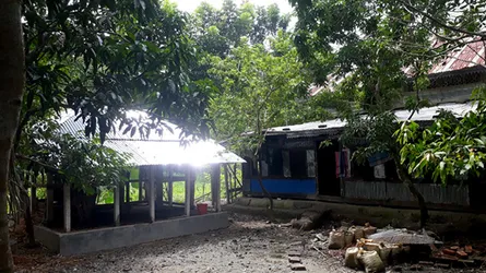আশ্রয়ন প্রকল্পের ঘরে গরু পালন