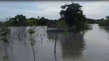 ফারাক্কার গেট খুলে দেয়ায় নাটোরে বাড়ছে পানি