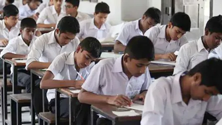 কাঁচায় না নোয়ালে বাঁশ