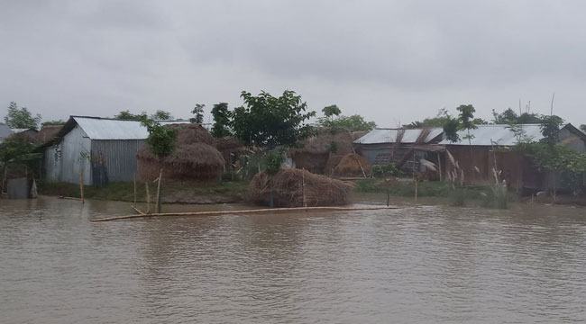 পদ্মা ও মহানন্দা নদীতে পানি বৃদ্ধি অব্যাহত