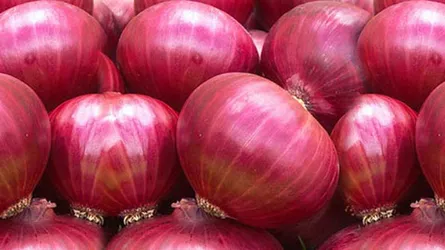 ভারত পেঁয়াজ না দেয়ায় সুযোগ নিচ্ছে মিয়ানমার