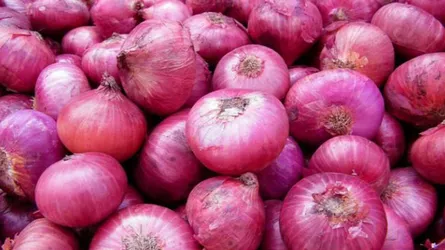 মিয়ানমারের পেঁয়াজ নিয়ে যা হচ্ছে