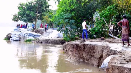 অসময়ে মধুমতীর তীব্র ভাঙনে দিশেহারা মানুষ