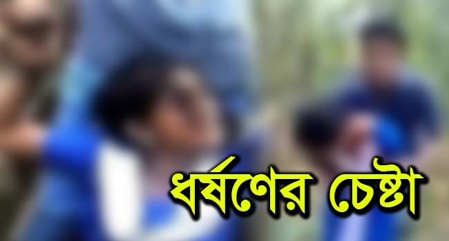 ৮ম শ্রেণির ছাত্রীকে ধর্ষণের চেষ্টা
