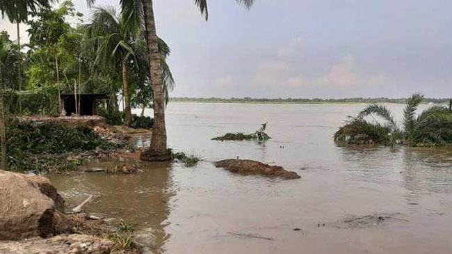 ফারাক্কার প্রভাবে ভাঙছে নবগঙ্গা-মধুমতি