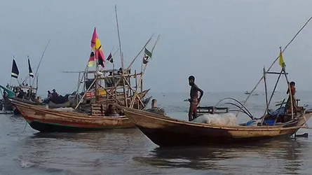 বাংলাদেশের পানিসীমায় মা ইলিশ শিকার করছে মিয়ানমার ও ভারতীয় জেলেরা