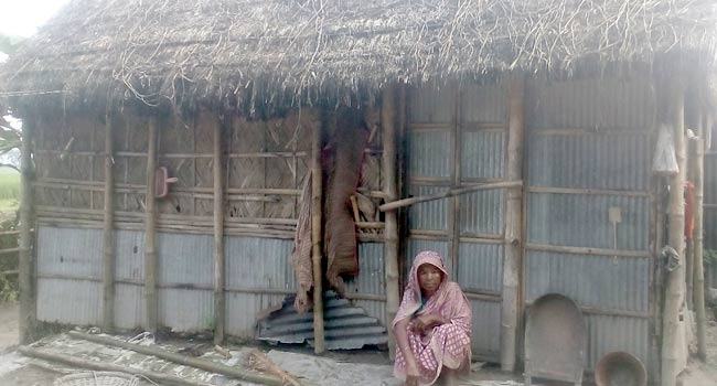 ছেলের অনাদরে থাকেন গোয়াল ঘরে