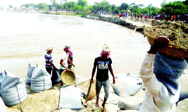 দৌলতদিয়ায় আটকা শত শত বাস
