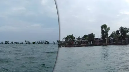 হাওরে নিরাপত্তা টাওয়ার নির্মাণ, বৃক্ষরোপণের দাবী