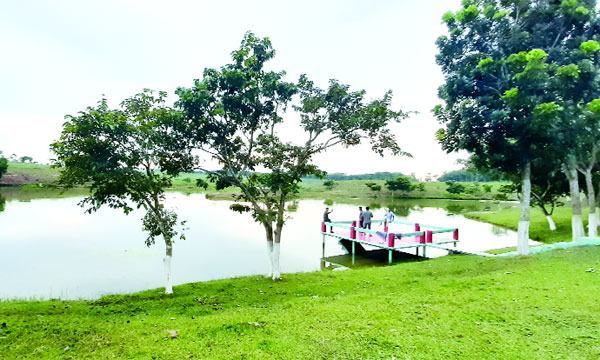 দৃষ্টিনন্দন ক্যামেলিয়া লেক
