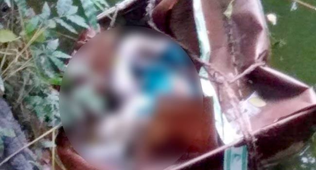 পুকুরের পানিতে ভাসছে নবজাতক শিশুর লাশ