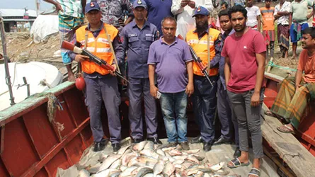 টংগিবাড়ীতে ইলিশ কেনায় সাবেক চেয়ারম্যানসহ ২৮ ক্রেতাকে দণ্ড
