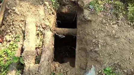 কবর থেকে কঙ্কাল চুরির হিড়িক