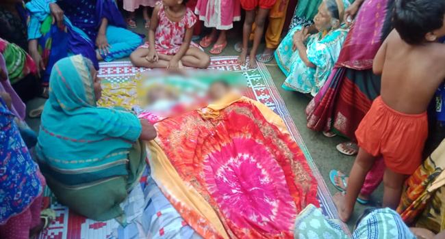 ভাইকে বাঁচাতে গিয়ে পানিতে ডুবে বোনেরও মৃত্যু