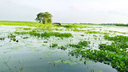 পানির নিচে গ্রাম